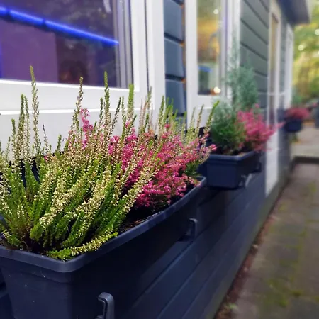 De Maanvaren Dağ evi