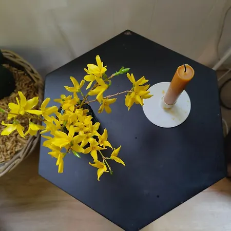 De Maanvaren * Hattemerbroek