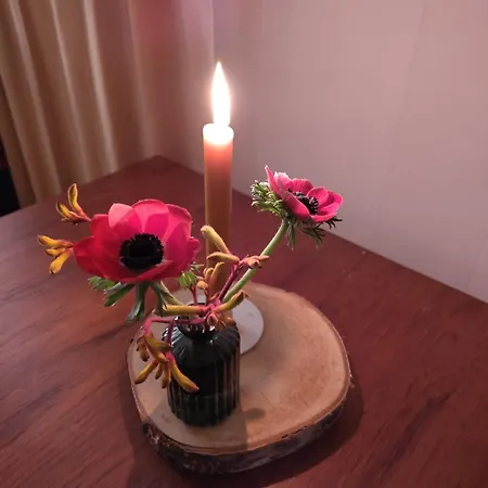 De Maanvaren Hattemerbroek