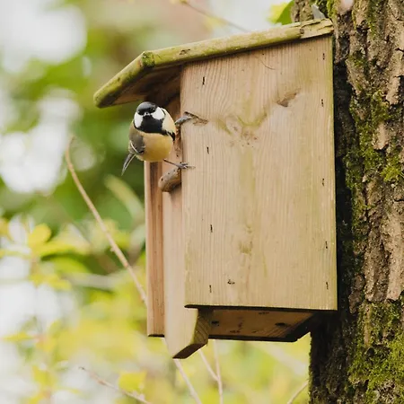 Dağ evi De Maanvaren *