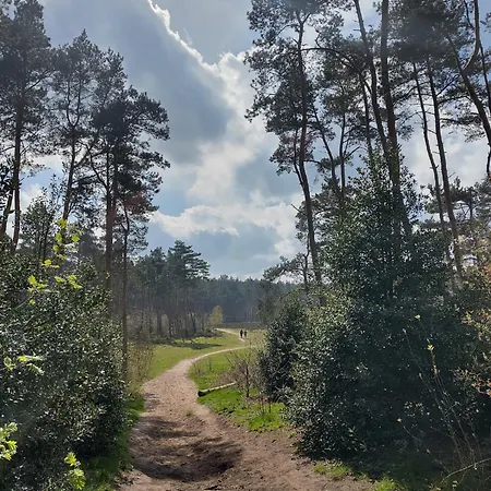 De Maanvaren * Hattemerbroek