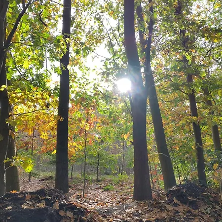De Maanvaren Dağ evi *