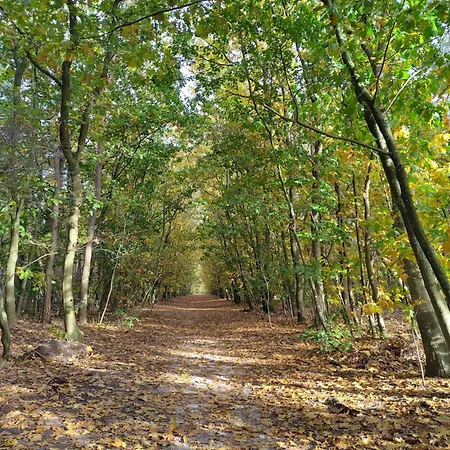 De Maanvaren Hattemerbroek