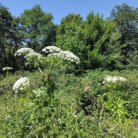 Chalet De Maanvaren *