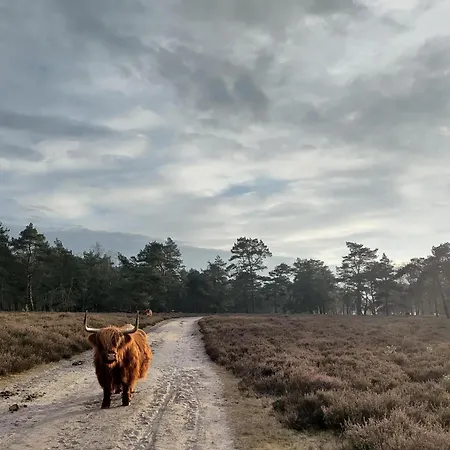 Chalet De Maanvaren *