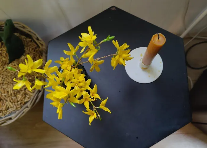 De Maanvaren * Hattemerbroek