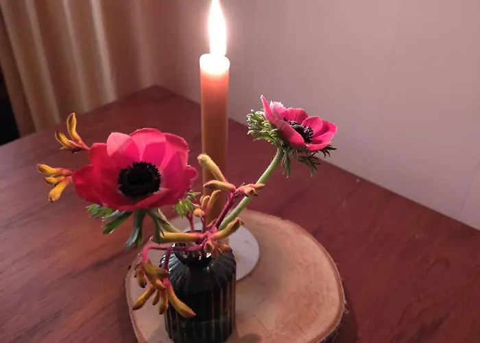 De Maanvaren Hattemerbroek