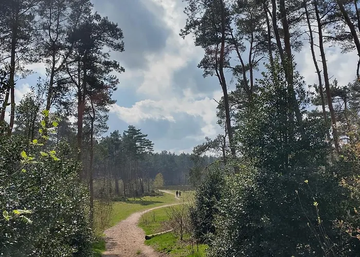 De Maanvaren * Hattemerbroek