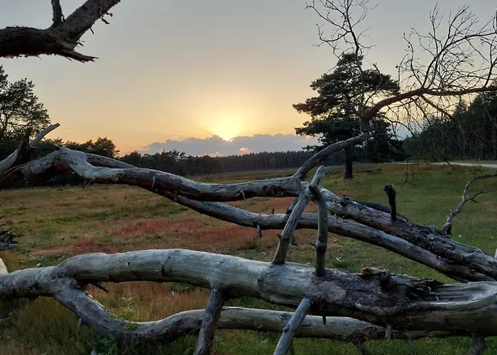 Alpstuga De Maanvaren *