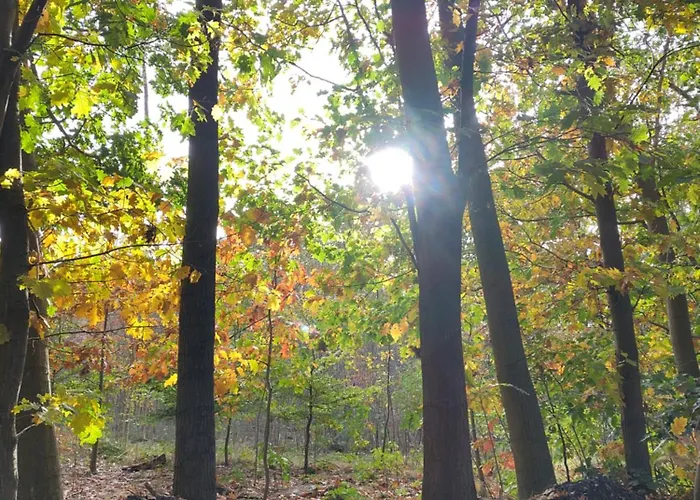 De Maanvaren Chalet *