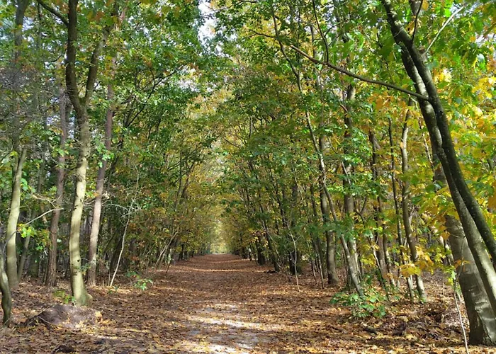 De Maanvaren Hattemerbroek