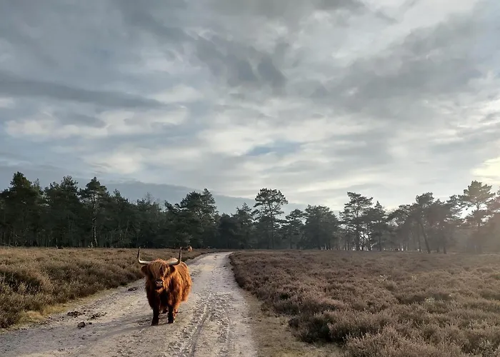 Chalet De Maanvaren *