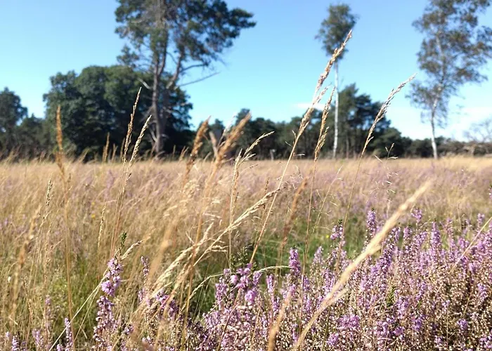 Chalet De Maanvaren Hattemerbroek