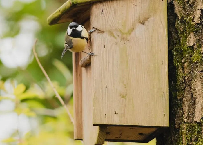 샬레 De Maanvaren *